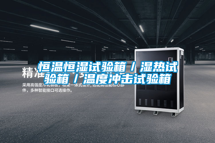 恒温恒湿试验箱/湿热试验箱/温度冲击试验箱