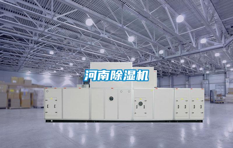 河南茄子视频懂你更多在线观看