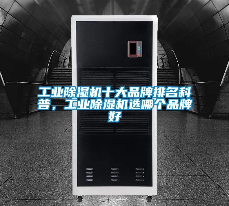 工业茄子视频懂你更多在线观看十大品牌排名科普，工业茄子视频懂你更多在线观看选哪个品牌好