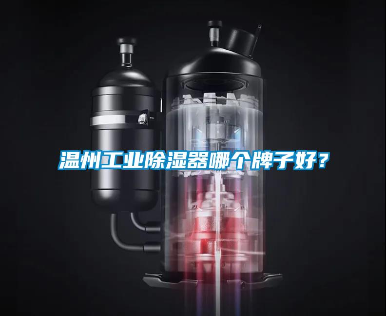 温州工业除湿器哪个牌子好？
