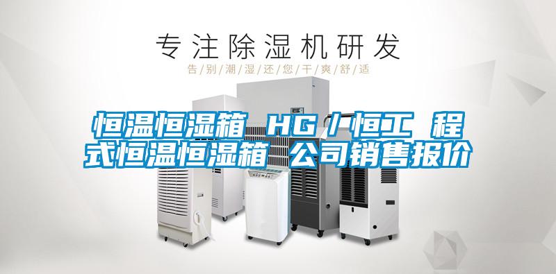恒温恒湿箱 HG/恒工 程式恒温恒湿箱 公司销售报价