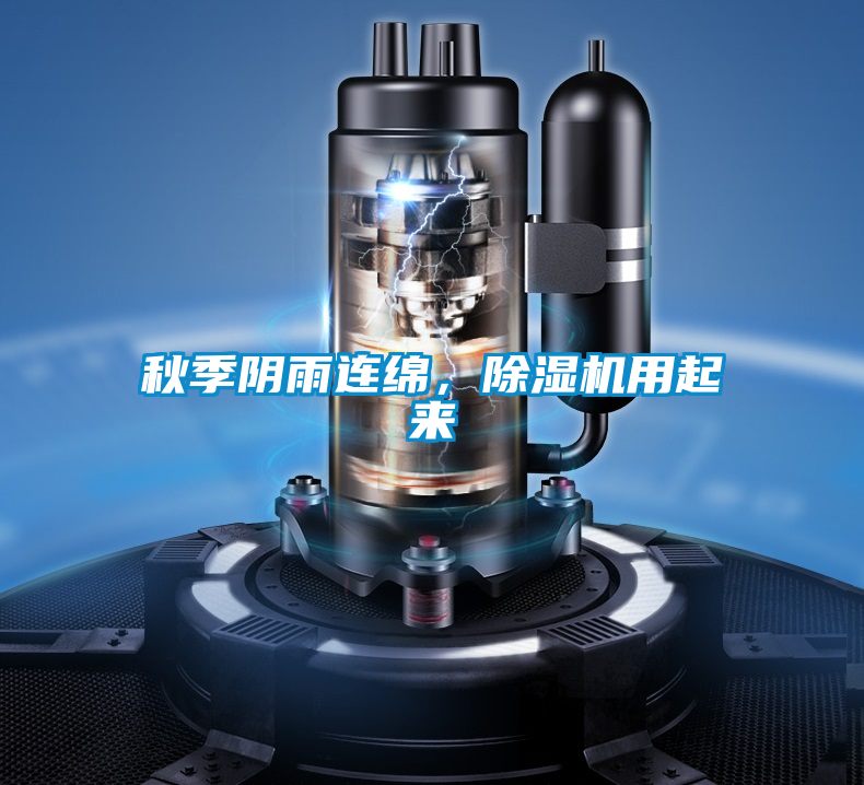 秋季阴雨连绵，茄子视频懂你更多在线观看用起来