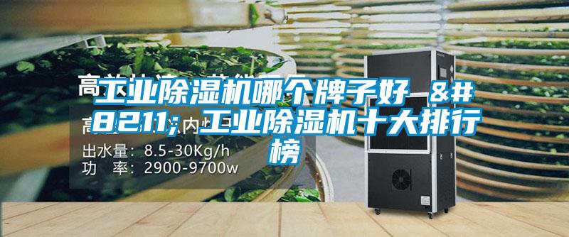 工业茄子视频懂你更多在线观看哪个牌子好 – 工业茄子视频懂你更多在线观看十大排行榜