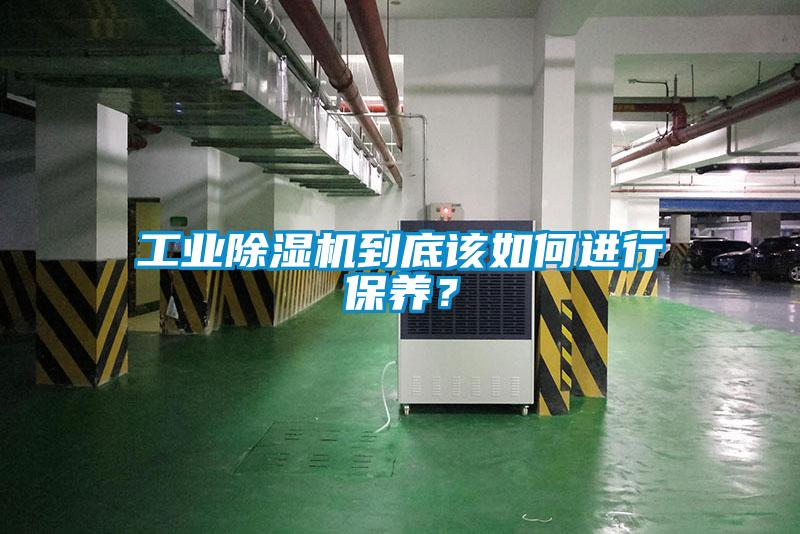 工业茄子视频懂你更多在线观看到底该如何进行保养？