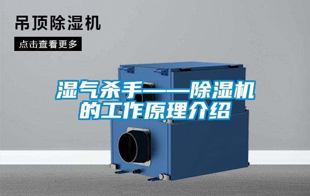 湿气杀手——茄子视频懂你更多在线观看的工作原理介绍