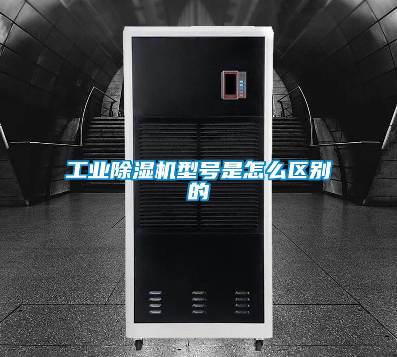 工业茄子视频懂你更多在线观看型号是怎么区别的