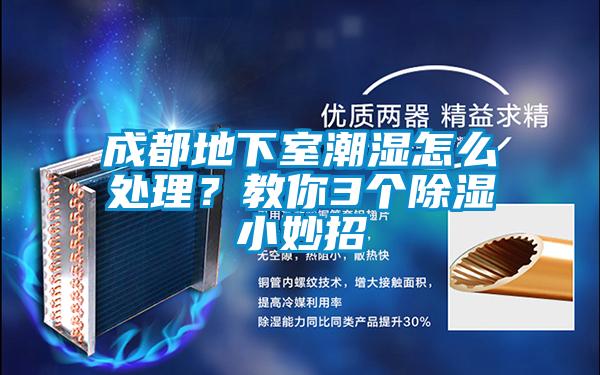 成都地下室潮湿怎么处理？教你3个除湿小妙招