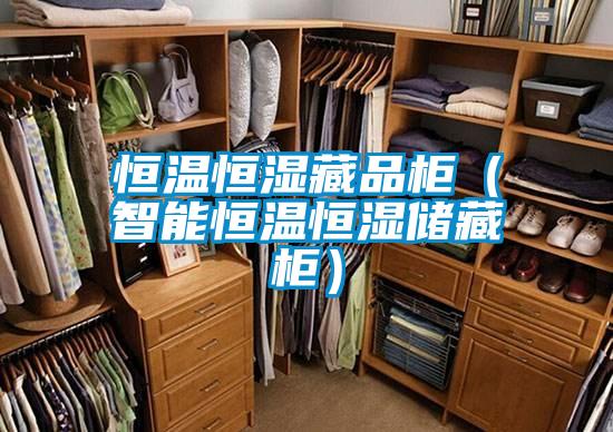 恒温恒湿藏品柜(智能恒温恒湿储藏柜)