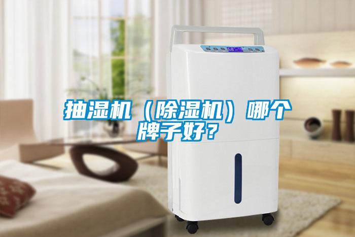 抽湿机（茄子视频懂你更多在线观看）哪个牌子好？