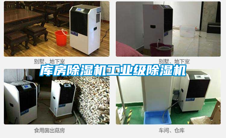 库房茄子视频懂你更多在线观看工业级茄子视频懂你更多在线观看