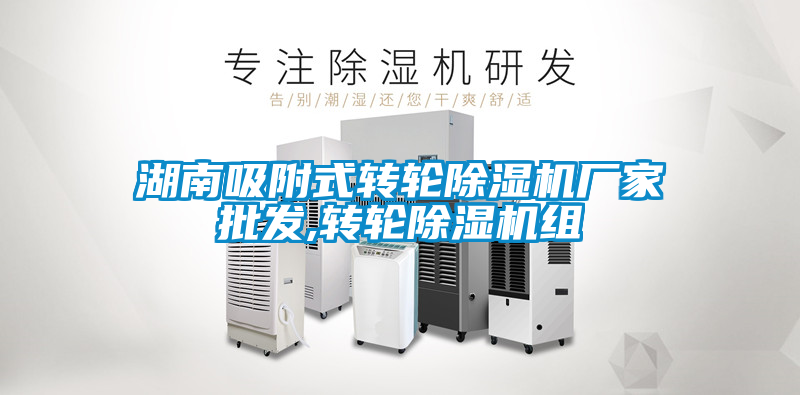 湖南吸附式转轮茄子视频懂你更多在线观看厂家批发,转轮茄子视频懂你更多在线观看组