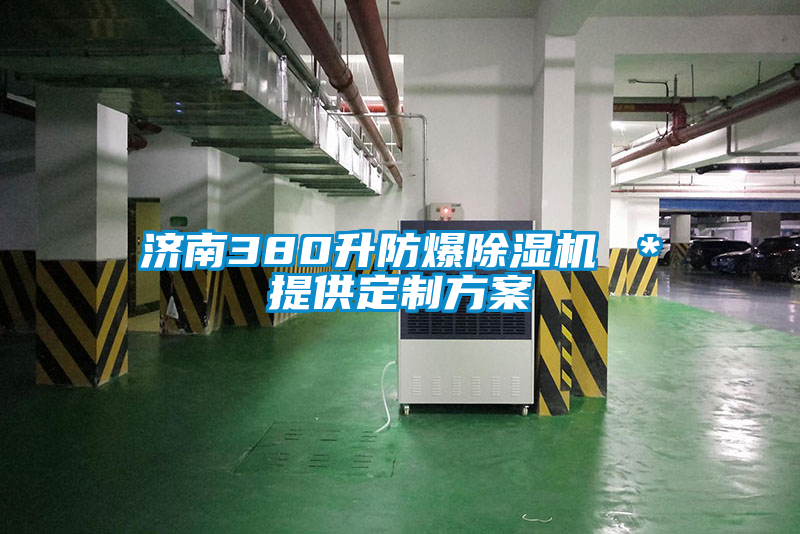 济南380升防爆茄子视频懂你更多在线观看 *提供定制方案