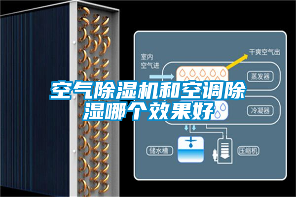 空气茄子视频懂你更多在线观看和空调除湿哪个效果好