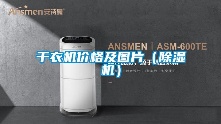 干衣机价格及图片(茄子视频懂你更多在线观看)