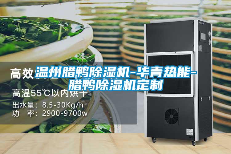 温州腊鸭茄子视频懂你更多在线观看-华青热能-腊鸭茄子视频懂你更多在线观看定制