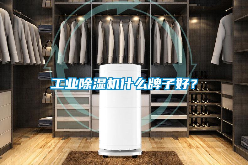 工业茄子视频懂你更多在线观看什么牌子好？