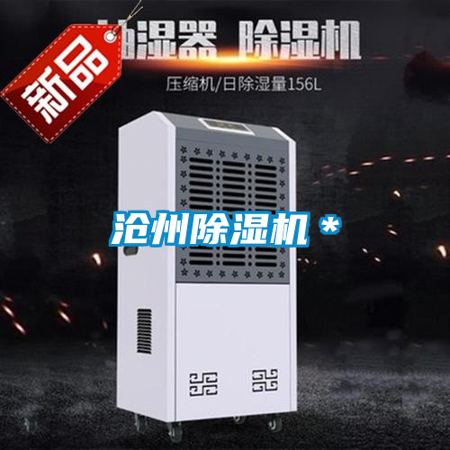 沧州茄子视频懂你更多在线观看*