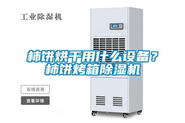 柿饼烘干用什么设备？柿饼烤箱茄子视频懂你更多在线观看