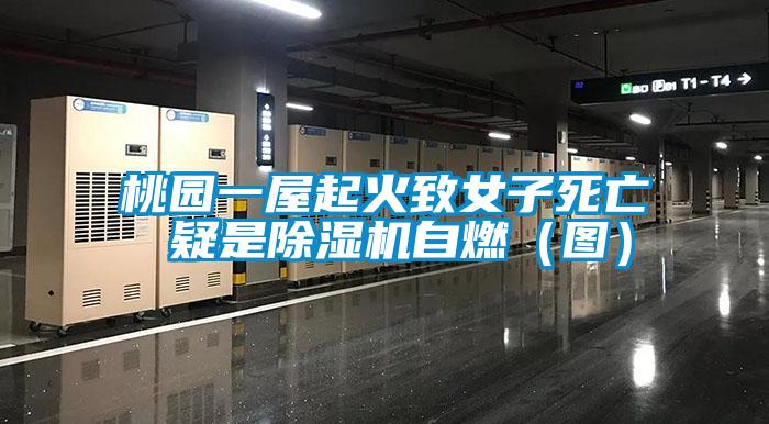 桃园一屋起火致女子死亡 疑是茄子视频懂你更多在线观看自燃(图)