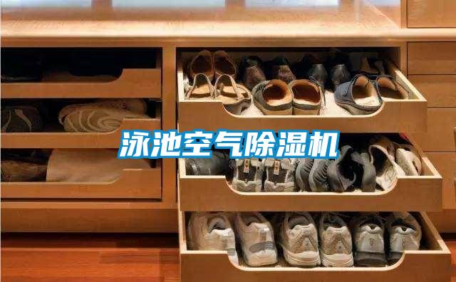 泳池空气茄子视频懂你更多在线观看