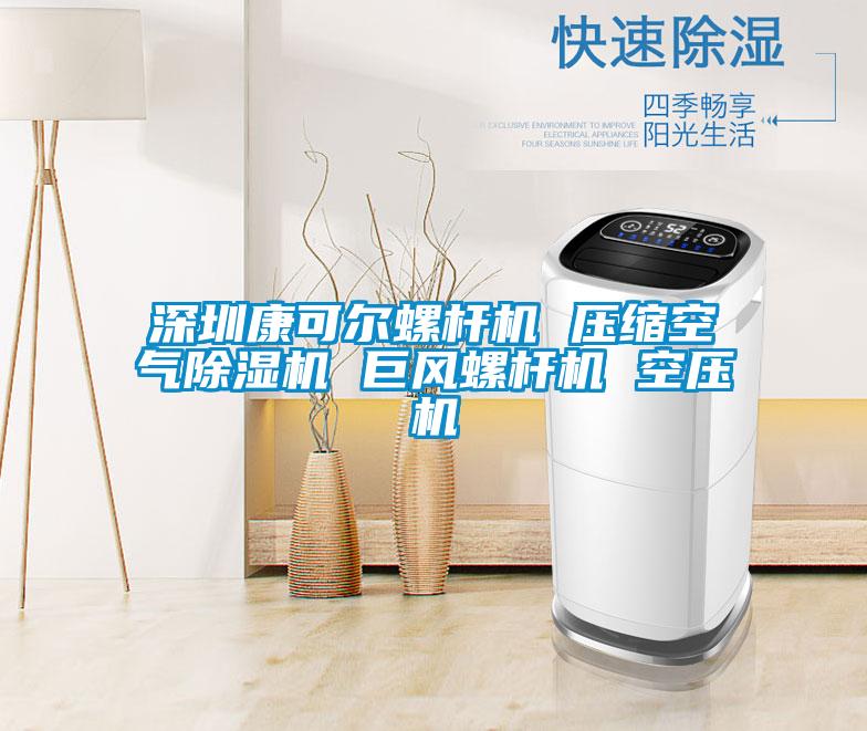 深圳康可尔螺杆机 压缩空气茄子视频懂你更多在线观看 巨风螺杆机 空压机