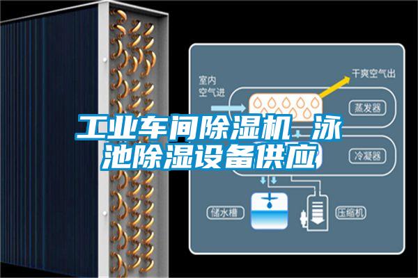 工业车间茄子视频懂你更多在线观看 泳池除湿设备供应