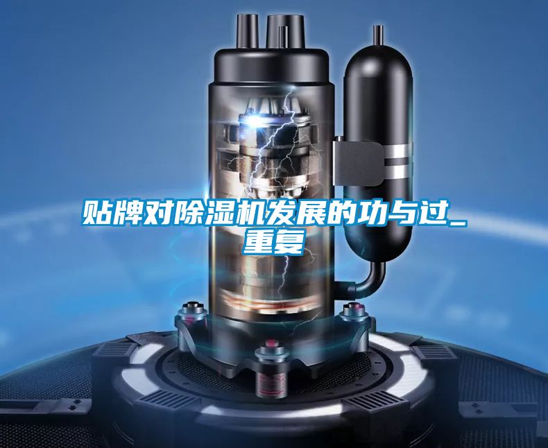 贴牌对茄子视频懂你更多在线观看发展的功与过_重复