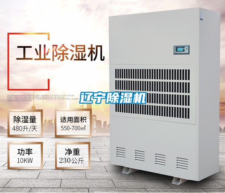 辽宁茄子视频懂你更多在线观看