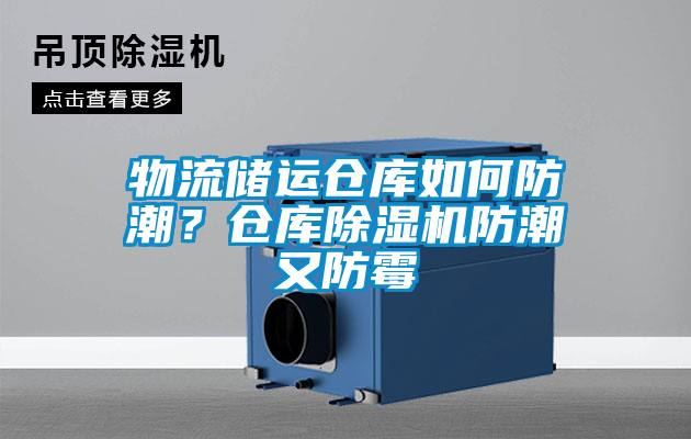 物流储运仓库如何防潮？仓库茄子视频懂你更多在线观看防潮又防霉