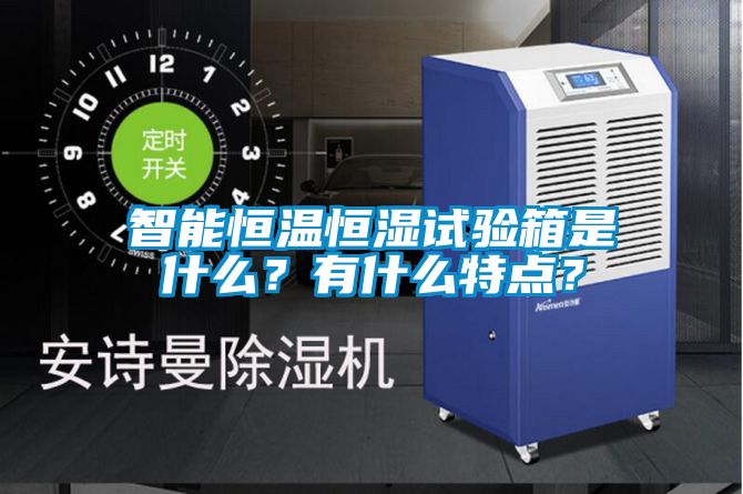 智能恒温恒湿试验箱是什么？有什么特点？