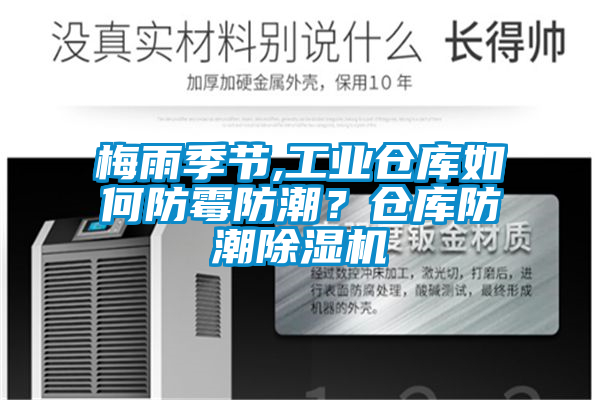 梅雨季节,工业仓库如何防霉防潮？仓库防潮茄子视频懂你更多在线观看