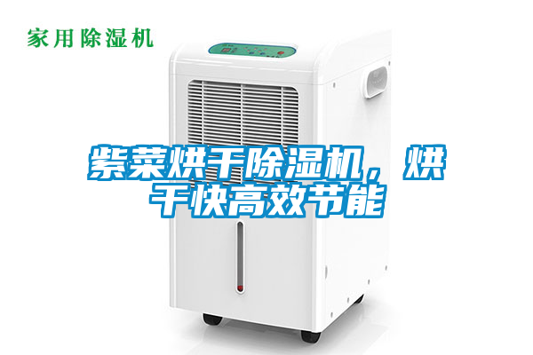 紫菜烘干茄子视频懂你更多在线观看，烘干快高效节能