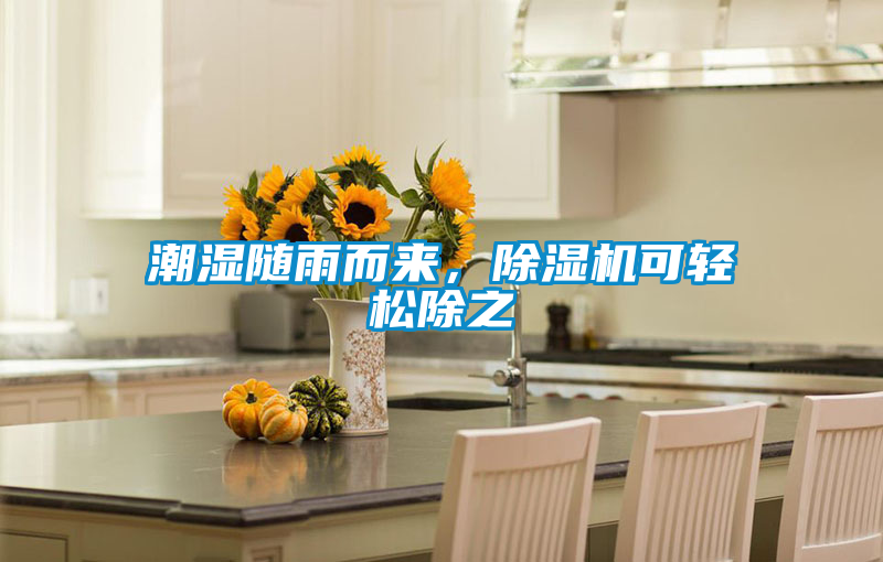 潮湿随雨而来，茄子视频懂你更多在线观看可轻松除之