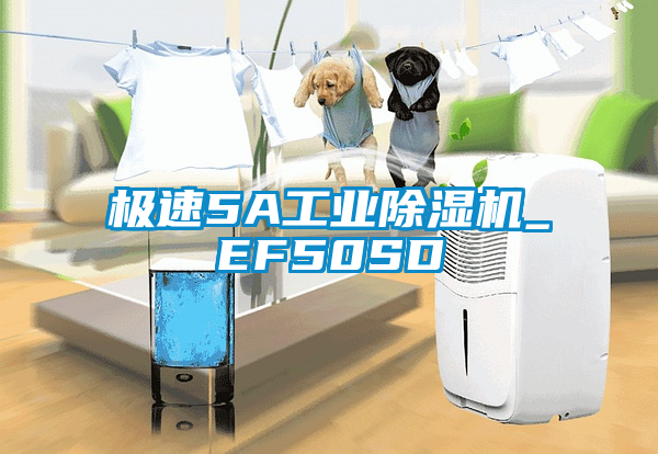 极速5A工业茄子视频懂你更多在线观看_EF50SD