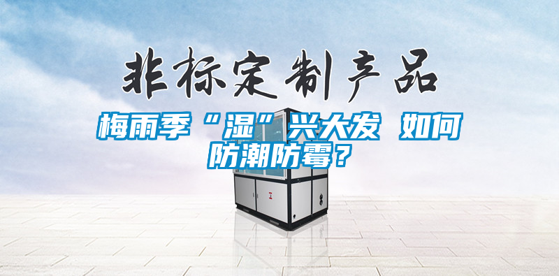 梅雨季“湿”兴大发 如何防潮防霉？