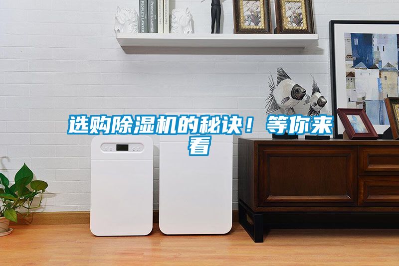 选购茄子视频懂你更多在线观看的秘诀！等你来看