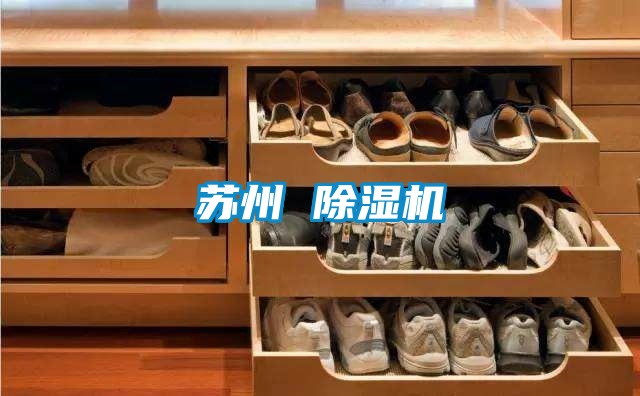 苏州 茄子视频懂你更多在线观看