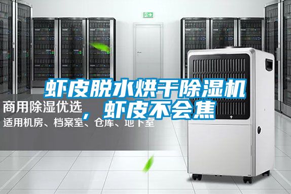 虾皮脱水烘干茄子视频懂你更多在线观看，虾皮不会焦