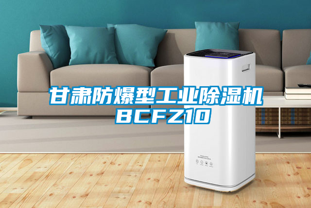 甘肃防爆型工业茄子视频懂你更多在线观看 BCFZ10