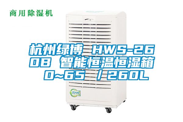 杭州绿博 HWS-260B 智能恒温恒湿箱 0~65℃／260L
