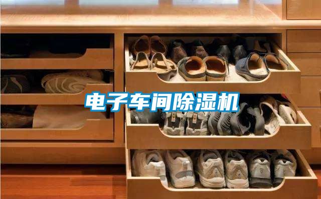 电子车间茄子视频懂你更多在线观看