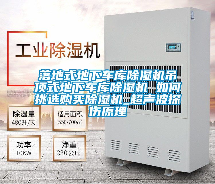 落地式地下车库茄子视频懂你更多在线观看吊顶式地下车库茄子视频懂你更多在线观看 如何挑选购买茄子视频懂你更多在线观看_超声波探伤原理