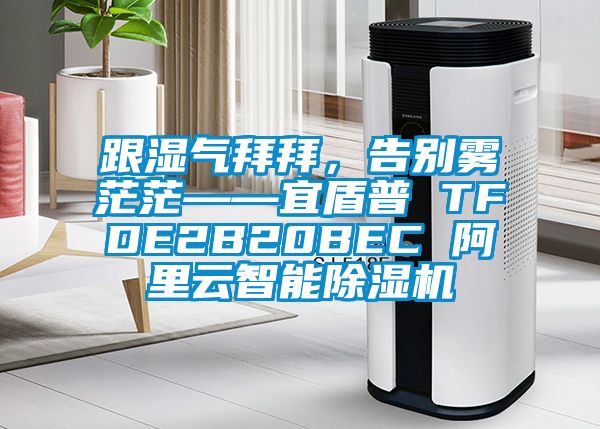跟湿气拜拜，告别雾茫茫——宜盾普 TFDE2B20BEC 阿里云智能茄子视频懂你更多在线观看