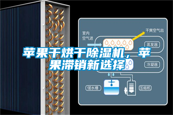 苹果干烘干茄子视频懂你更多在线观看，苹果滞销新选择