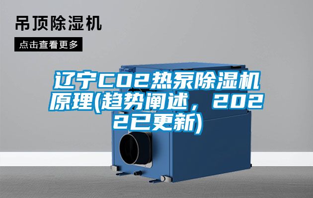 辽宁CO2热泵茄子视频懂你更多在线观看原理(趋势阐述，2022已更新)