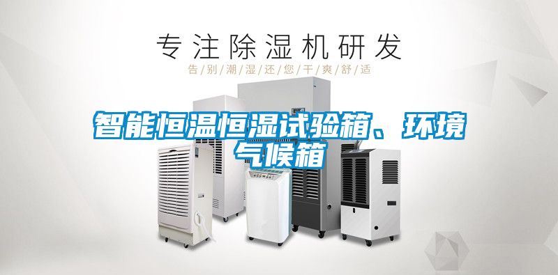 智能恒温恒湿试验箱、环境气候箱