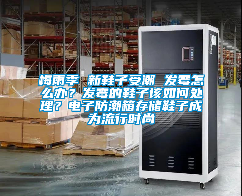 梅雨季 新鞋子受潮 发霉怎么办？发霉的鞋子该如何处理？电子防潮箱存储鞋子成为流行时尚