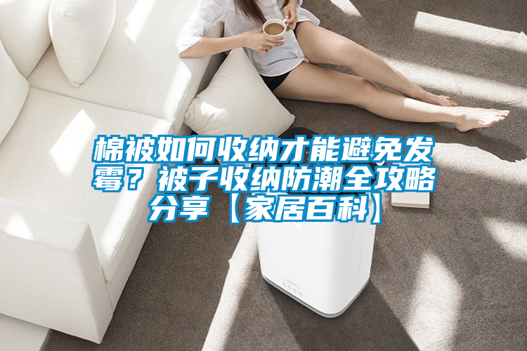 棉被如何收纳才能避免发霉？被子收纳防潮全攻略分享【家居百科】