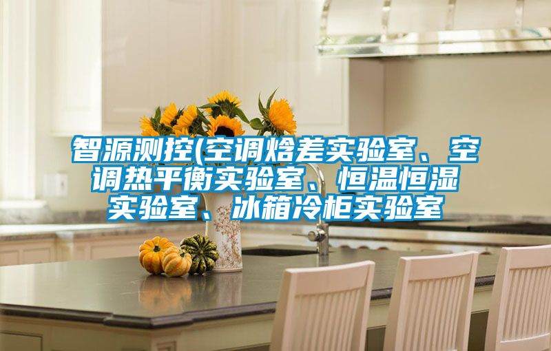 智源测控(空调焓差实验室、空调热平衡实验室、恒温恒湿实验室、冰箱冷柜实验室
