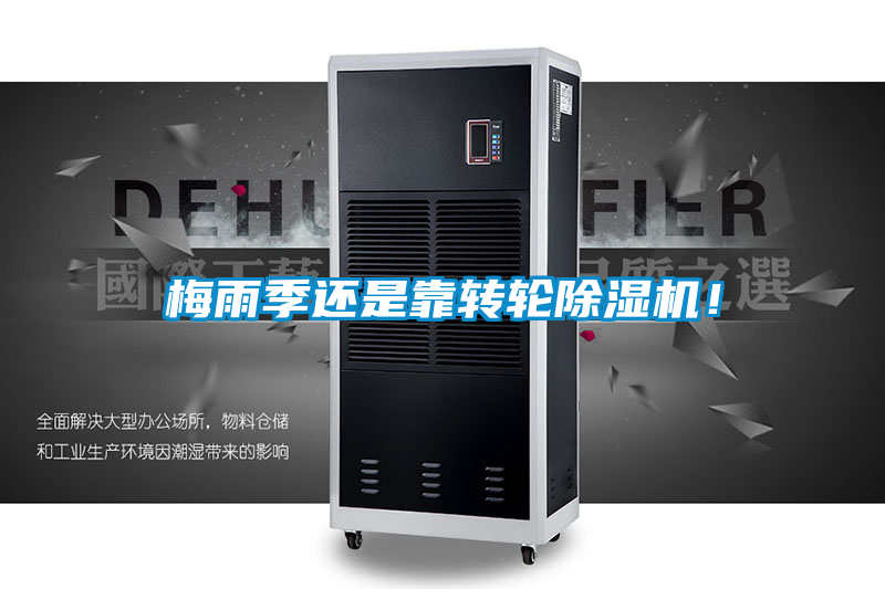 梅雨季还是靠转轮茄子视频懂你更多在线观看！